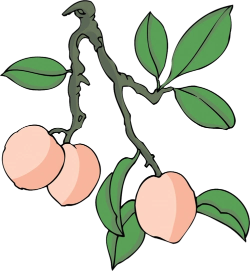 彩绘卡通桃子图片