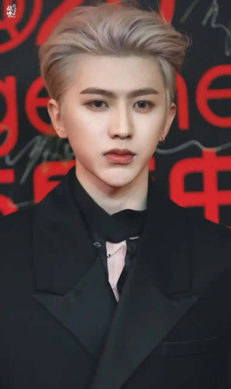 蔡徐坤银发背头啊啊啊啊啊啊啊啊啊 好帅好贵!