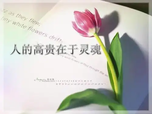 人的高贵在于灵魂ppt