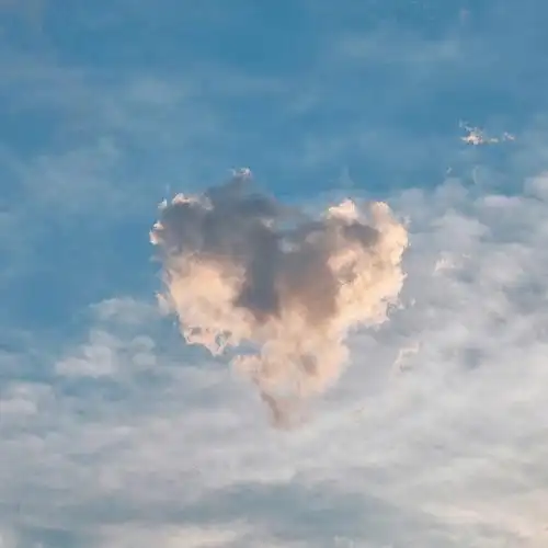 完成今日目标今天傍晚上天台给自己放了个风一出去就看到一朵爱心云朵