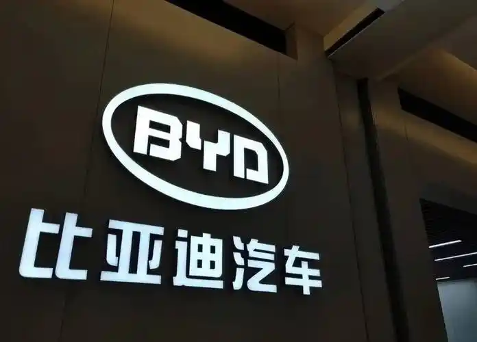 中国新能源汽车:高歌猛进,迈向世界级品牌