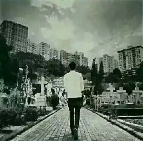 男生伤感的背影图片我是孤僻的一只困兽