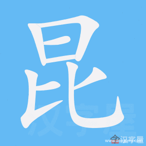 昆的笔顺昆字怎么写附笔顺动画