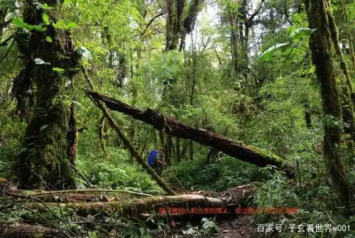 走进墨脱无人区——从仁钦朋到大巴
