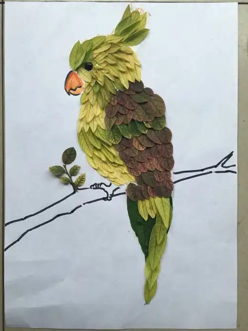 用树叶制作漂亮拼贴画