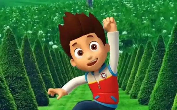 莱德队长受伤了!这可怎么样,汪汪队紧急集合!