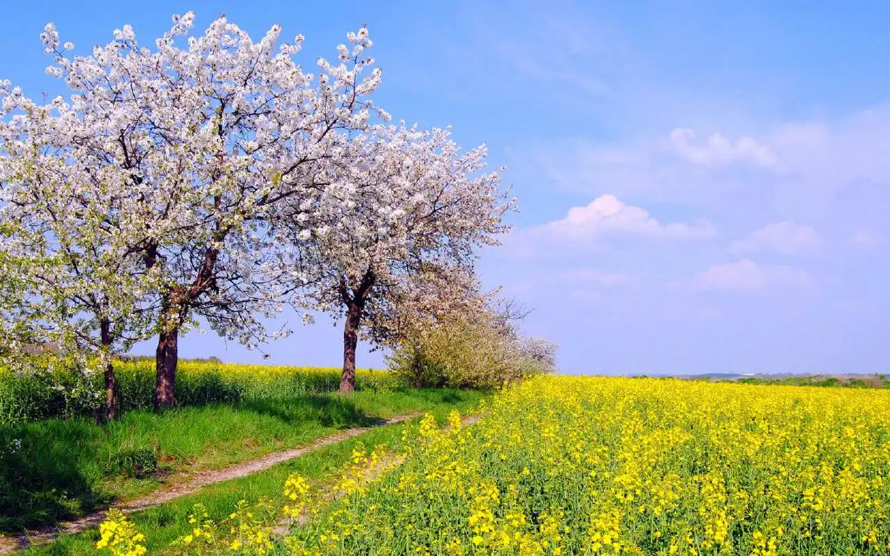 唯美迷人自然风光图片桌面壁纸,风景壁纸,唯美,护眼,高清,清新,蓝天