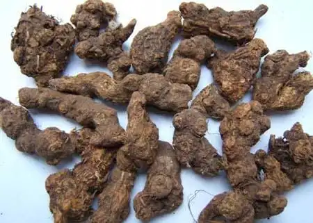 鹅掌风 - 岭南中药网