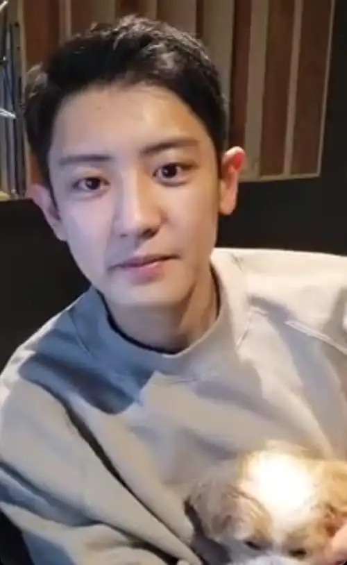 组图:exo朴灿烈退伍后首开直播 穿灰色卫衣素颜无惧怼脸镜头