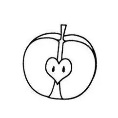 苹果的种子的简笔画欣赏