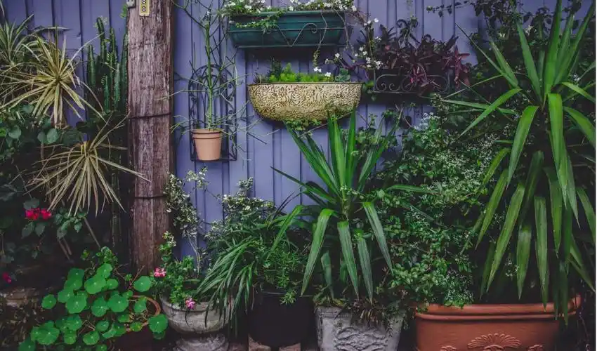 ins风格电脑壁纸高清唯美原图