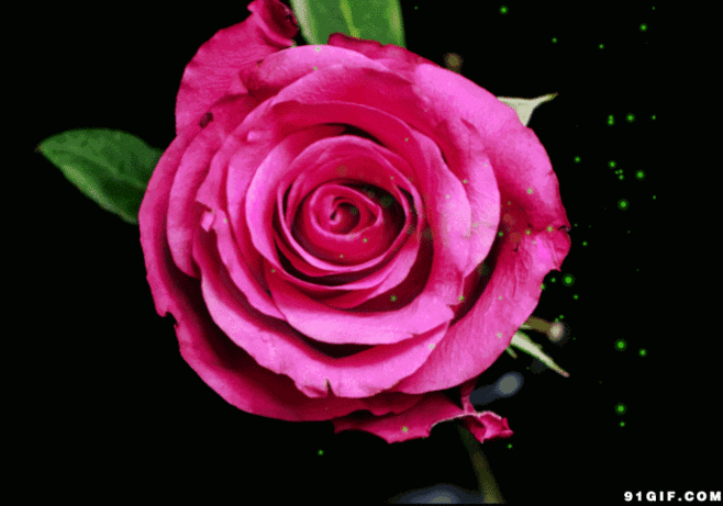 大红花炫唯美动态图