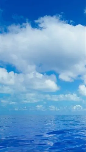 闪闪壁纸小红书