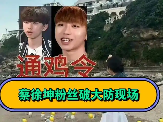 正主爱打胎粉丝爱造黄谣,劣迹艺人蔡徐坤坤粉丝素质一览