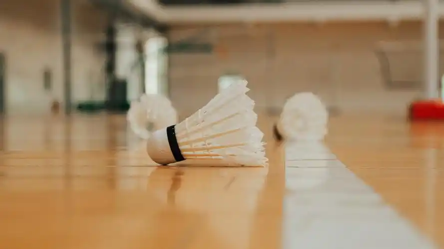 羽毛球和羽毛球拍图片-静物壁纸-高清静物图片-第9图-娟娟壁纸