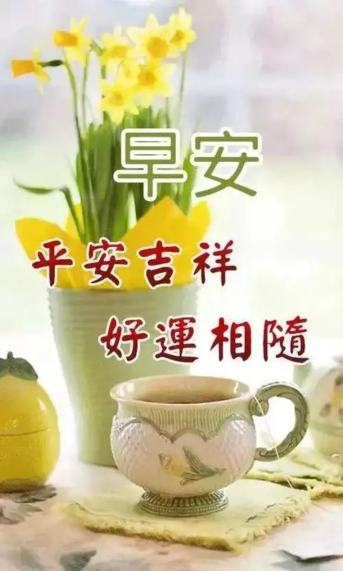 原创早上好问候祝福非常漂亮的鲜花早安祝福语大全