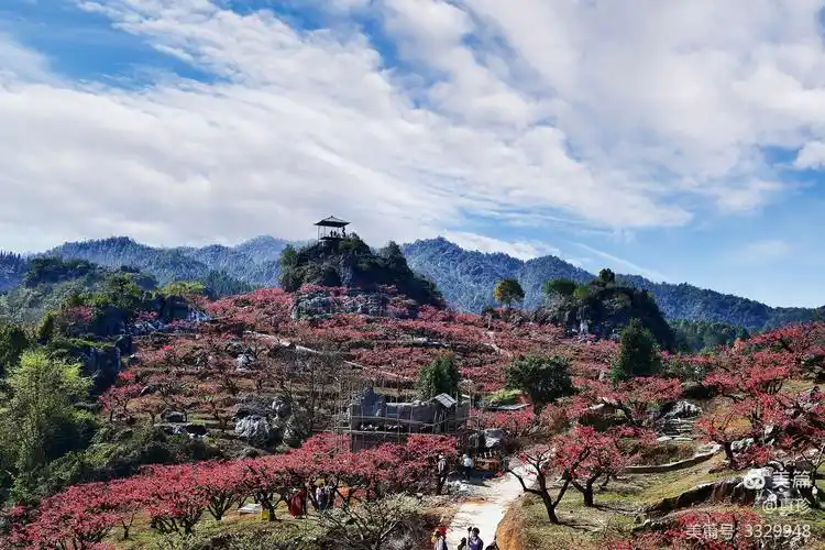 十里桃花红艳山,二月赏花正当时.