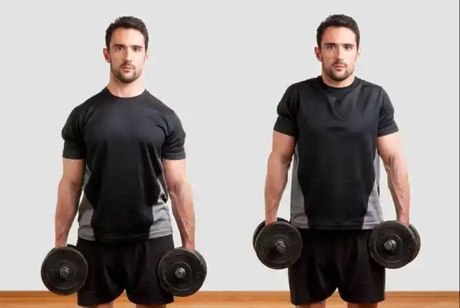 斜方肌的锻炼方法做好4个器械动作增加上背部肌肉厚度