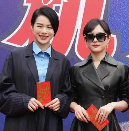 孙俪一脸凶相到底算不算大美女看看她和胡杏儿的合照你就有答案