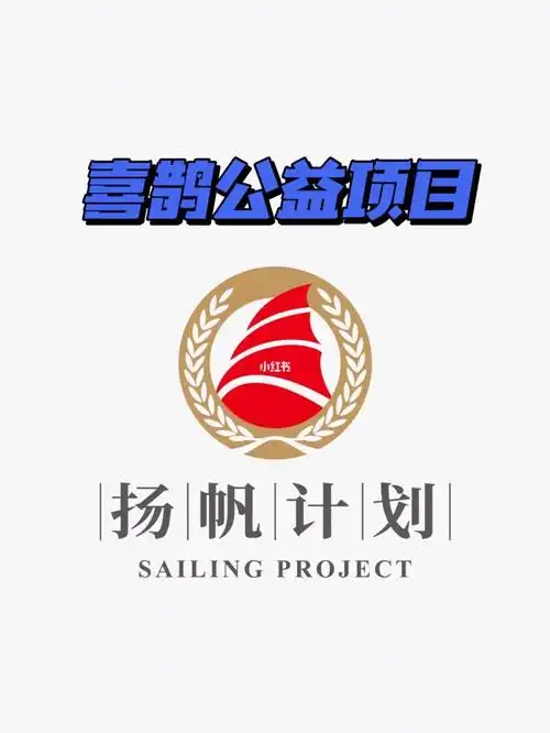 公益项目在项目发起时,我们了解到西方国家的公益已经细分到性别平权