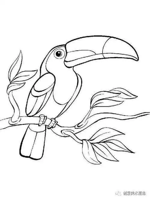 儿童画素材适合临摹的鸟儿主题线描作品