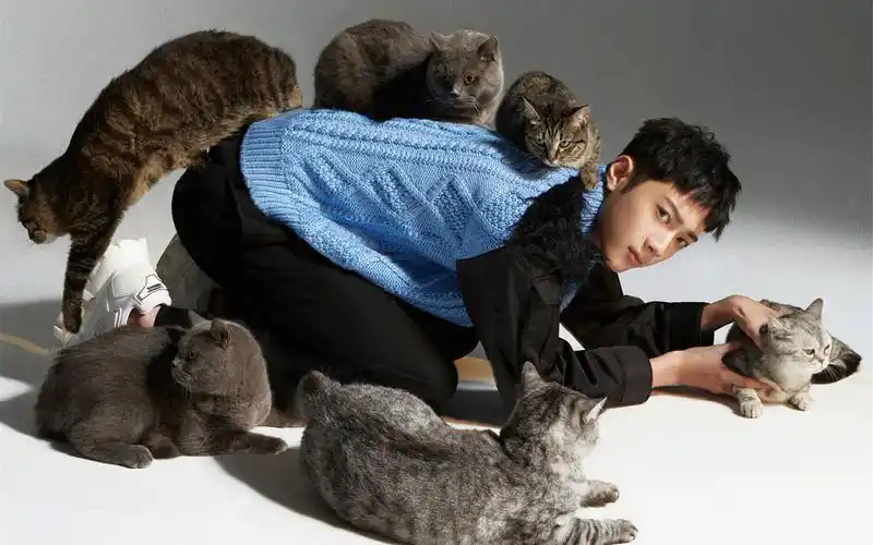 赖冠霖慵懒帅气写真图片桌面壁纸