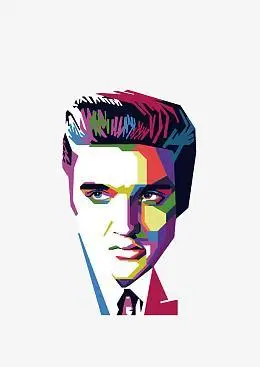 插图猫王波普风