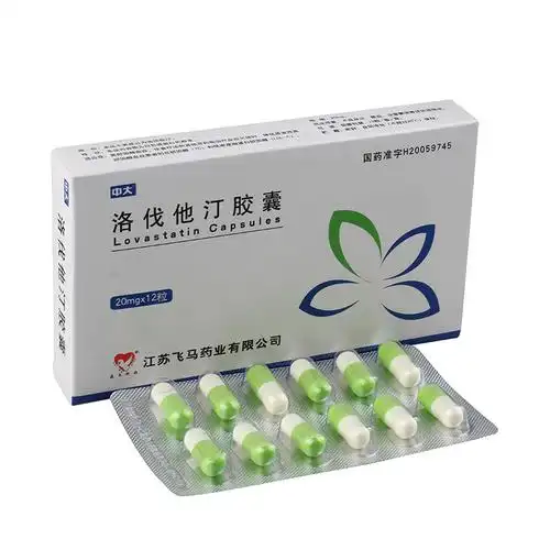 飞马神韵 洛伐他汀胶囊 20mg*12粒/盒