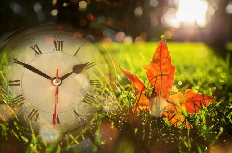 我们越来越爱回忆了,十二首忆旧的诗词,怀念曾经的美好