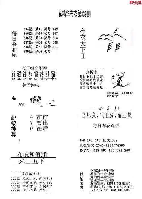 3d339期真精华布衣天下123456