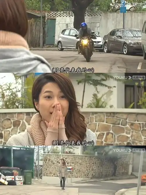 港剧推荐护花危情乔子琳许玮琛