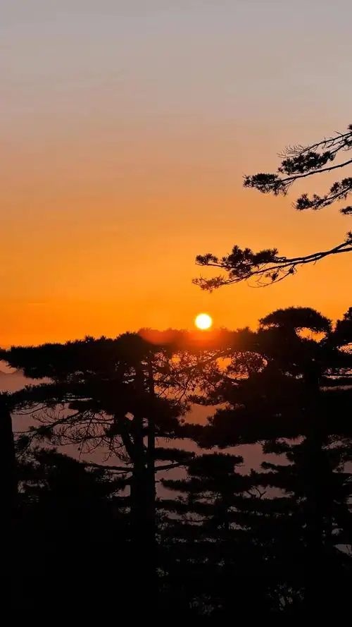 人和山在一起才是仙 #云雾缭绕人间仙境  #登上山顶看美景 - 抖音