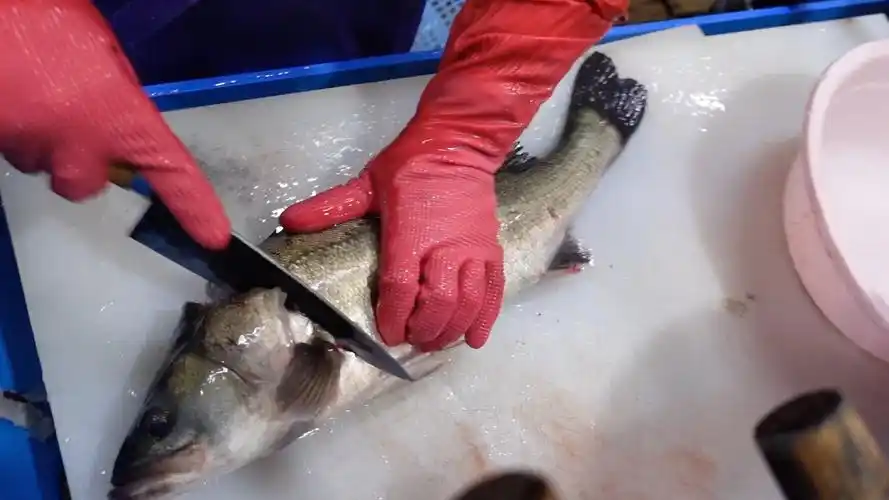 釜山行-怎么能不来份现杀活鱼生鱼片呢～大妈刀工可以的!