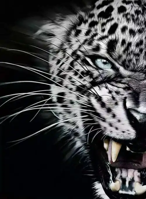 文字图片霸气_文字图片_我要个性网