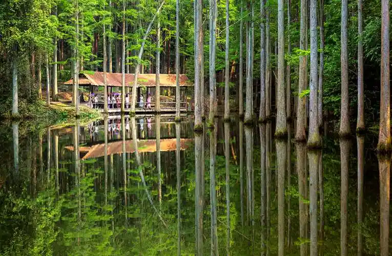 一秒爱上来波尔登森林公园坠入现实版爱丽丝仙境