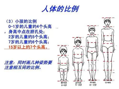 人体的比例 (3)小孩的比例 0-1岁的儿童约4个头高 ,身高中点在脐孔处