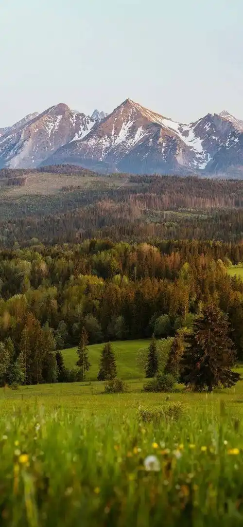 手机壁纸·4k景深全面屏