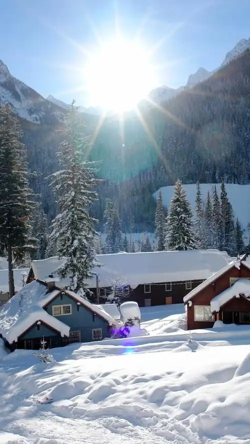 冬季唯美风景h5背景