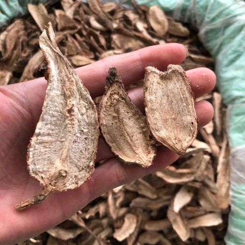 白蔹500g克包邮正品新货中药材白蔹片白蔹根八卦牛见肿消白蔹粉