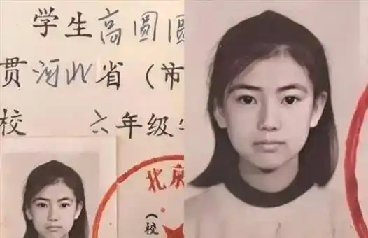 高圆圆六年级证件照走红,浓眉大眼加鹅蛋脸,网友:新冻龄女神?