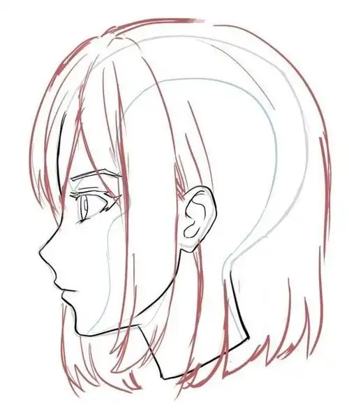 侧脸的画法