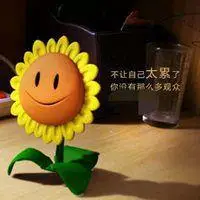 积极向上的头像阳光_微信头像图片大全