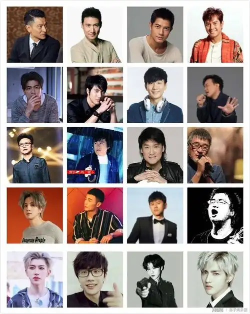 复制到华语乐坛,假如给你15元,让你在提供的华语男歌手名单中选择5位