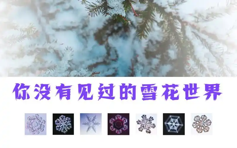 这大概是形态最全的雪花摄影合集了