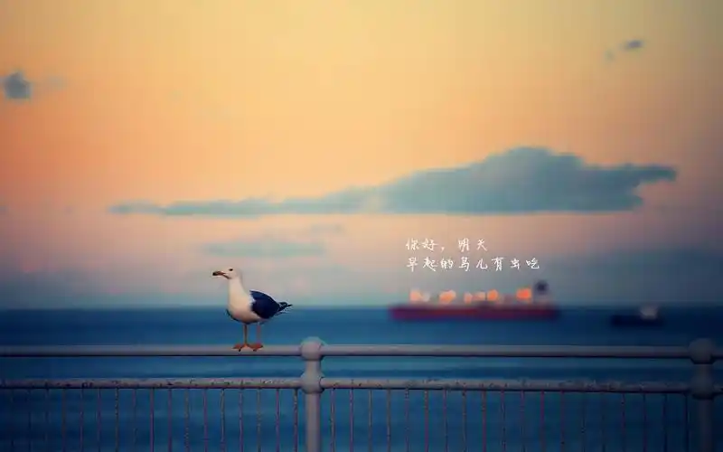 文艺青春励志的心情句子说说