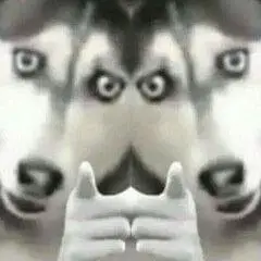 指人表情包第1页