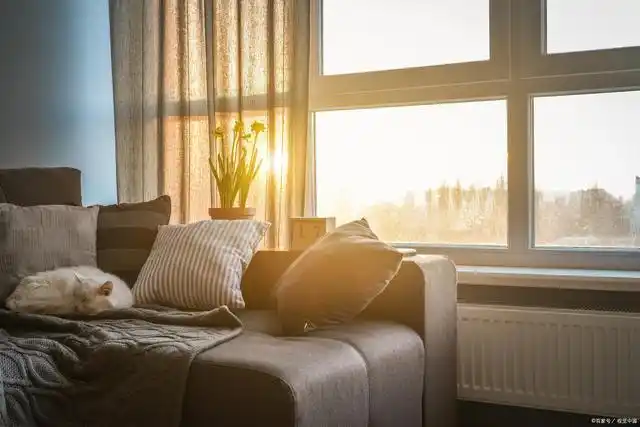早晨的阳光慵懒地洒进窗内,暖暖的.