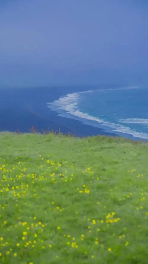 宁静惬意的大自然风光