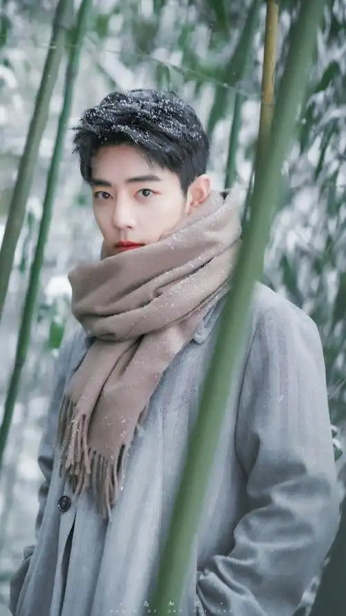 肖战冬至竹林大片