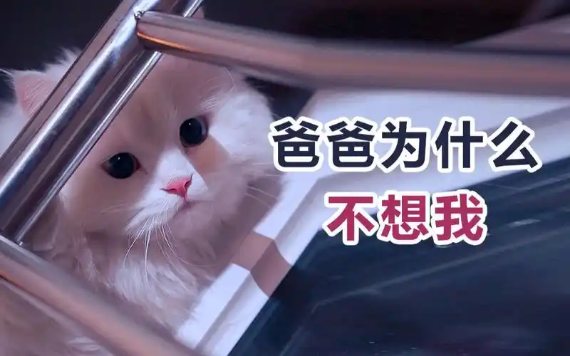 "爸不是不想你,是怕说了想你,你更想家"